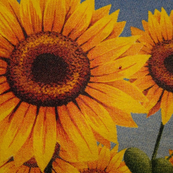 Vintage Retro Red Iowa Sunflower Field Short Sleeve T-Shirt Women's Size Large - Picture 3 of 6